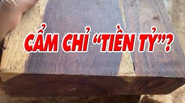 Gỗ cẩm đắt đỏ! Ai có thể chơi gỗ cẩm chỉ thì quá đẳng cấp | Sơn Sập Gỗ