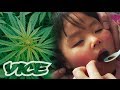 大麻で難病を治す「医療大麻」最前線 - Medicinal Marijuana in Japan