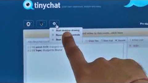 TinyChat