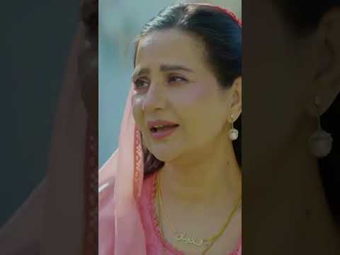 Sher Episode 26 Pakistani Serial Drama Share Episode 26 Sher Episode26 Pakistandrama Usama Royel 
