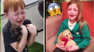 Puppy Surprise Compilation 😍 Dog Surprise Compilation | Try Not to Cry - Miyu Animals by Miyu Animals 🐶 4,184 views 2 years ago 8 minutes, 27 seconds