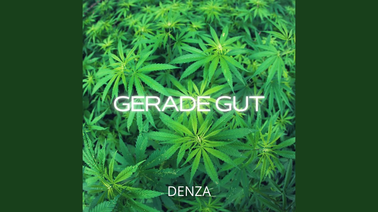 Watch Gerade Gut on YouTube Watch Gerade Gut on YouTube