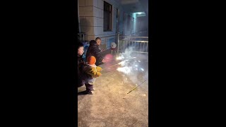 放烟花喽！#无障碍交流 #狗狗回村后的快乐 #过年氛围提前搞起来了