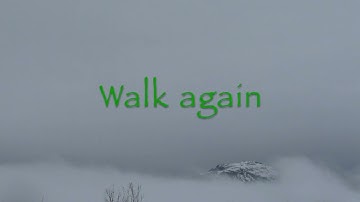 Bad Wolves - Learn To Walk Again (Lyrics)