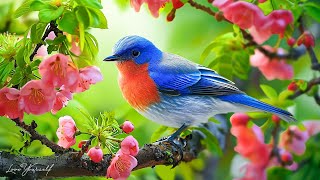 Soothing music for nerves🌿 healing music for the heart and blood vessels, relaxation, music for soul