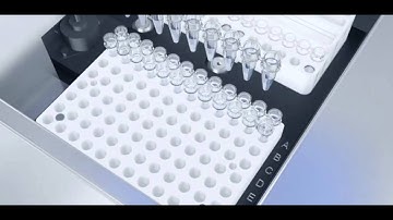 Qiagen QIAxcel advanced