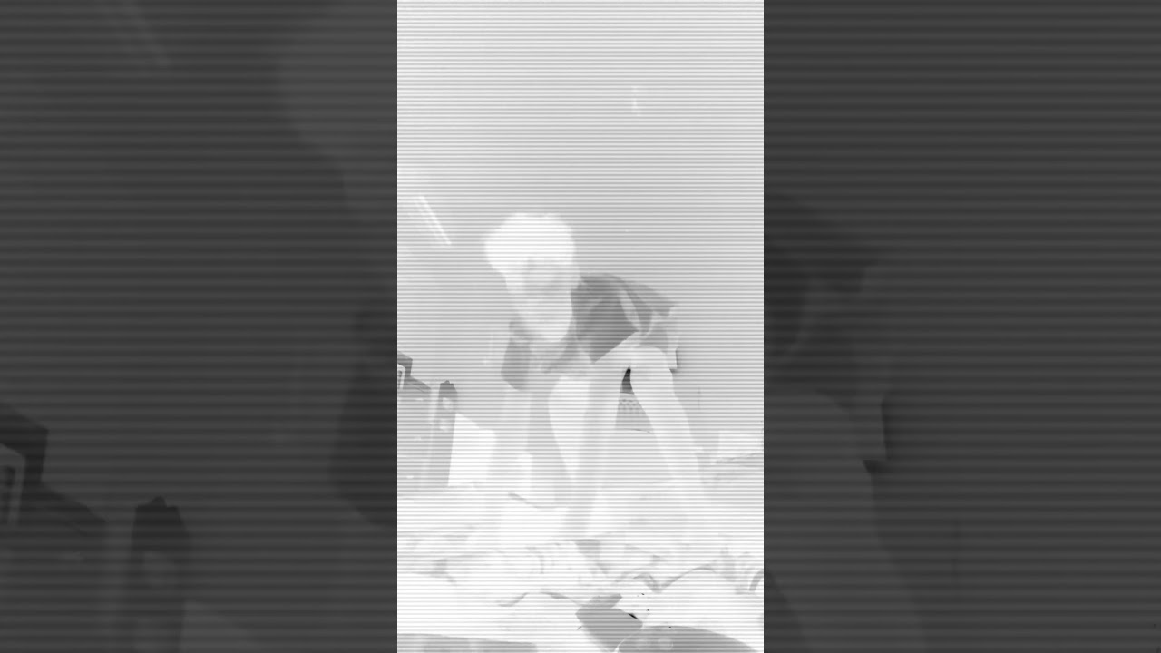 Rat go back to the bag