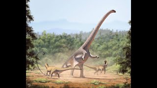 Dinosaur Database: Allosaurus