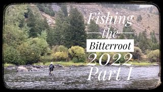 Fly Fishing the Bitterroot: 2022, Part I
