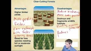 APES Topic 5.2 Clearcutting