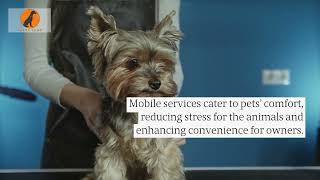 Tucson Stress-Free Mobile Pet Nail Trimming Salon Grooming Services Reduce Fear
