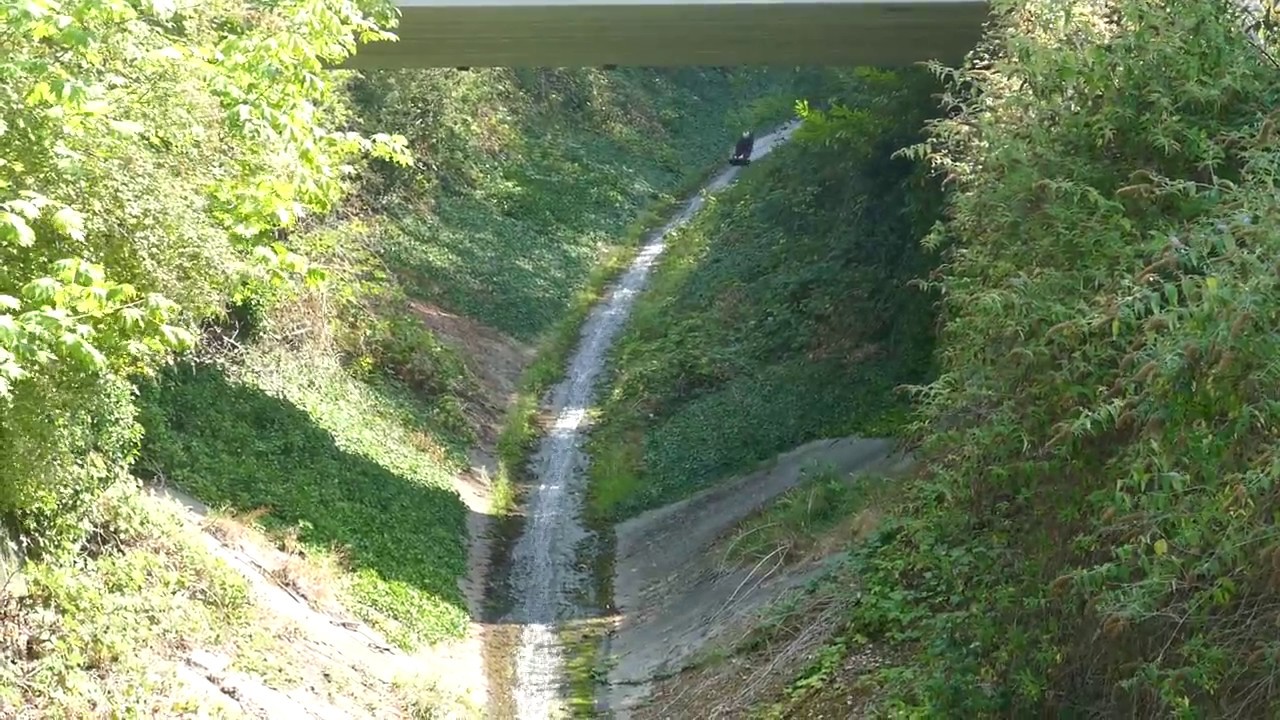 Tom Paterson ripping down lions bay slide BC