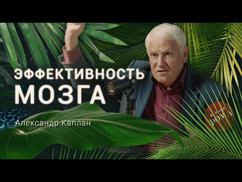 Как повысить эффективность своего мозга? Секреты от психофизиолога Александра Каплана
