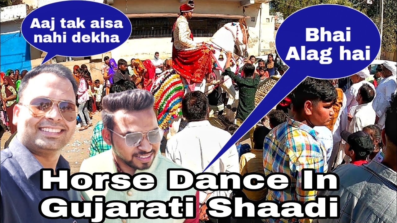 Gujarati Shaadi me Horse Dance Ahmedabad Vlog YouTube