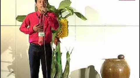 VOH Media   Thí sinh  Phạm Văn Hoàng SBD  064 Nam ai 8 câu   Mưa biển câu 5, 6 Sáng tác  Minh Thùy   26 05 2012