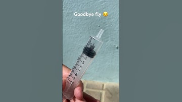 Fly in syringe (watch to the end…)