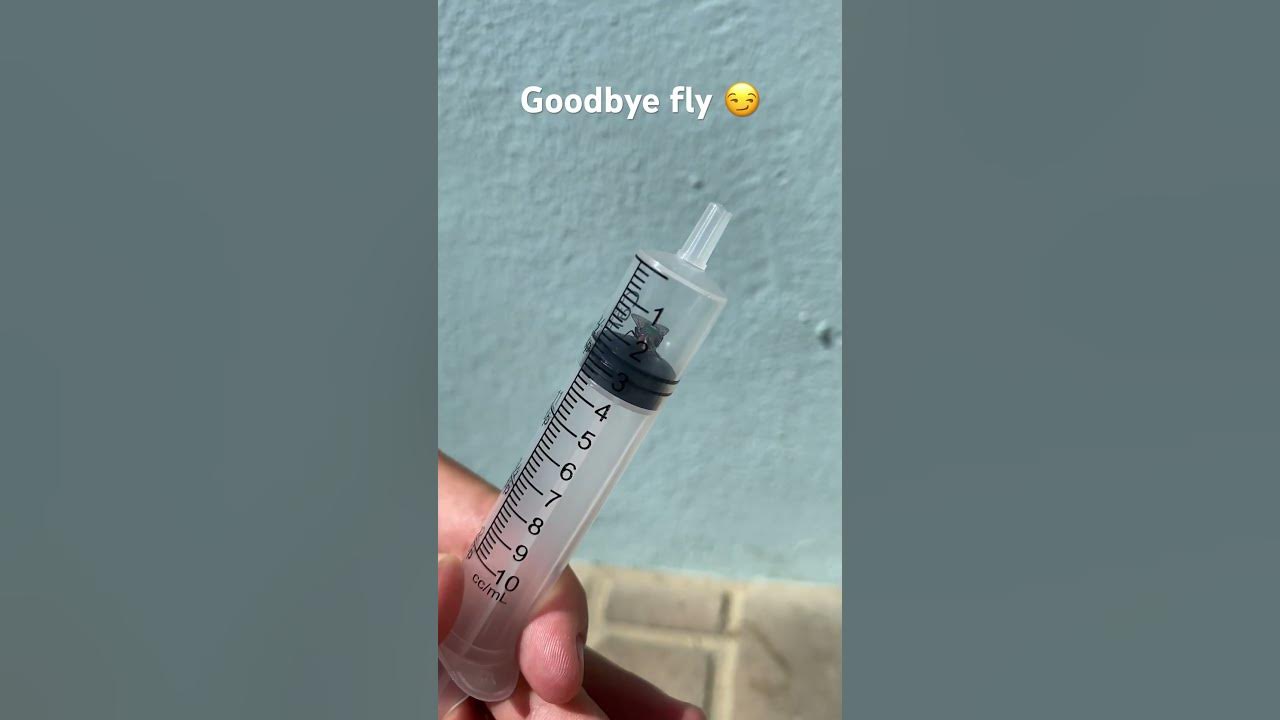 Fly in syringe (watch to the end…) YouTube
