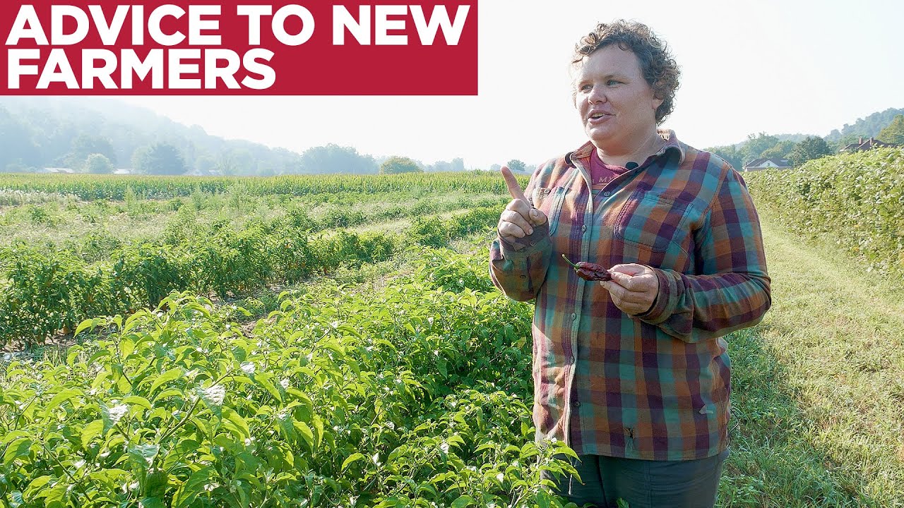 Advice For New Farmers From An Established Community Farmer