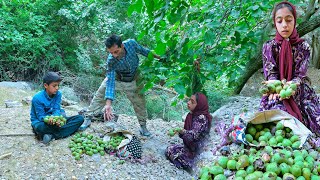 Download Lagu 🌳✨ Leila’s Family: A Walnut Adventure in the Untouched Wilderness 🥚🔥 MP3 Download Lagu 🌳✨ Leila’s Family: A Walnut Adventure in the Untouched Wilderness 🥚🔥 MP3