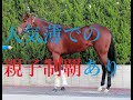 オークス 2023 桜花賞組は距離延長で複数凡走 別路線組が勝つ！！隠れた実力馬