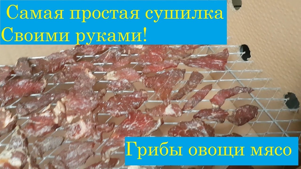 Сушилка для грибов своими руками видео фото 358