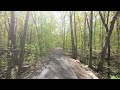 Tranquil Symphony: ASMR Nature Walk with Birdsong Serenade