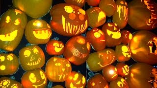 Pumpkinferno - 6,000+ Carved Halloween Pumpkins!