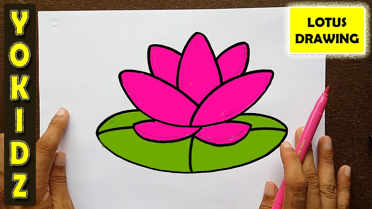 How To Draw Lotus Flower Easy - Youtube