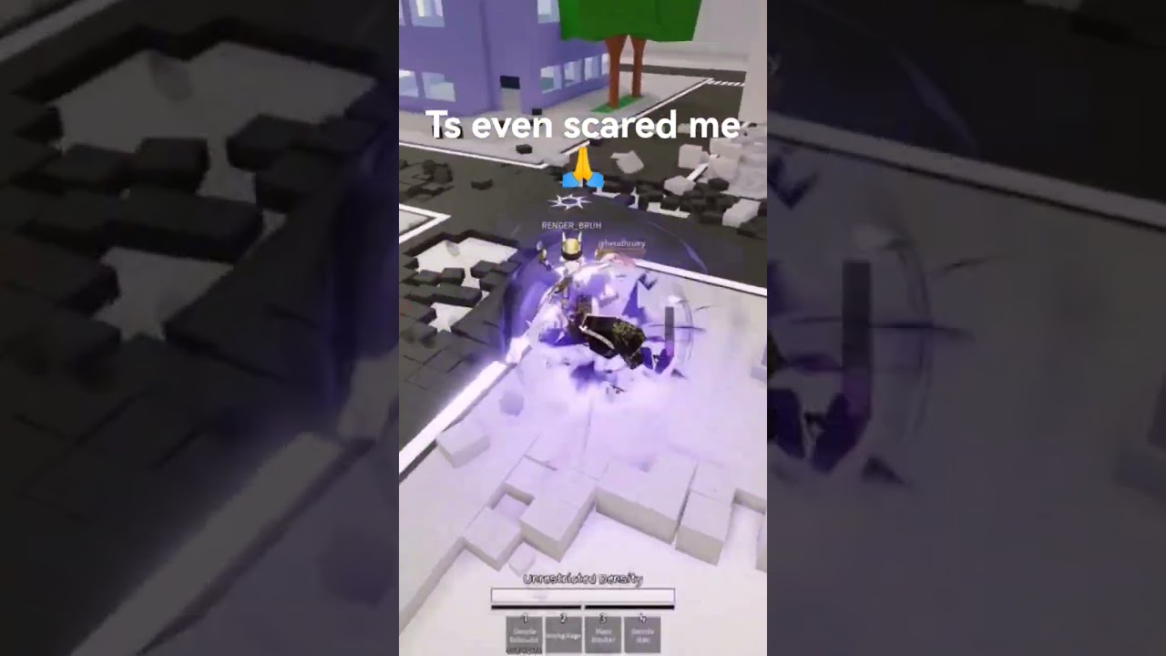 yuki is fun to plsy with 