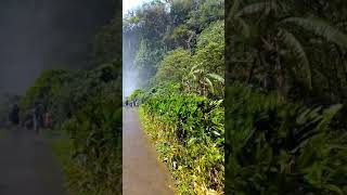 Salto de eyipantla Veracruz México 🇲🇽😍