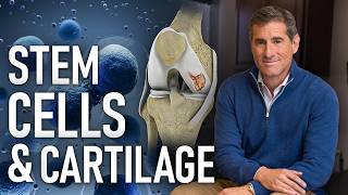 Can Stem Cells Help Regrow Cartilage?