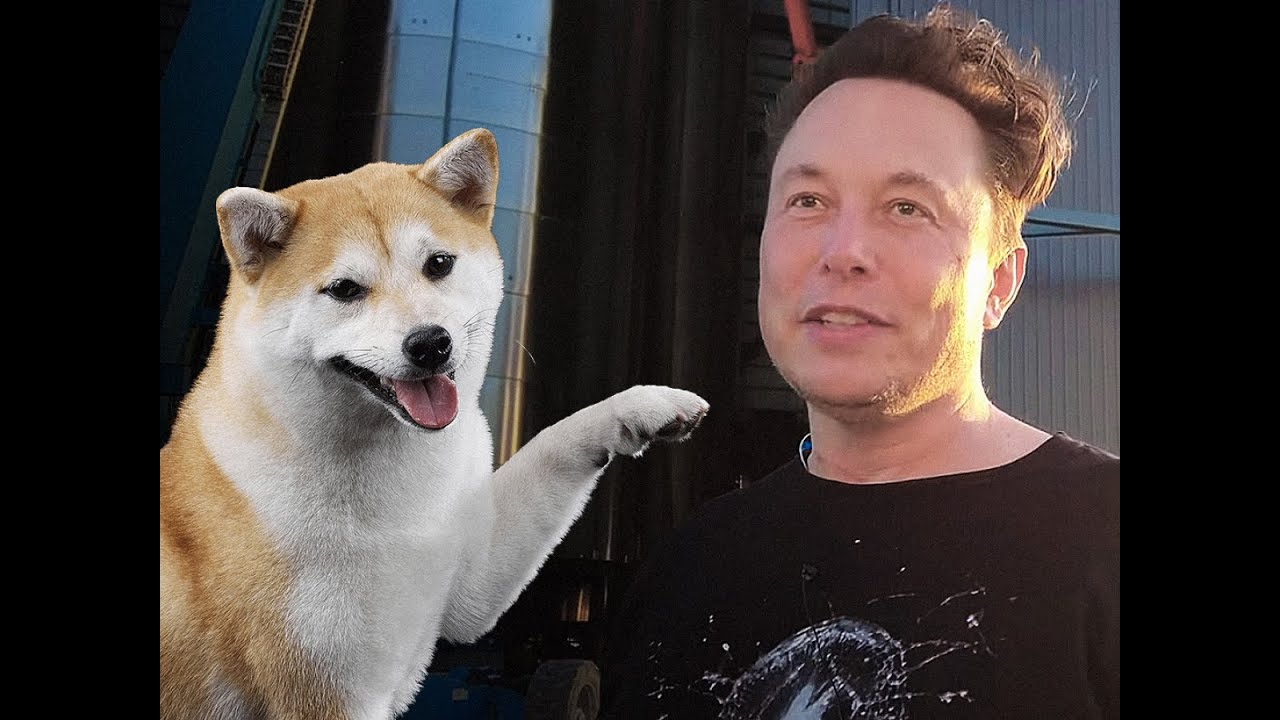 Elon Musk interview about Shiba Inu ! - YouTube