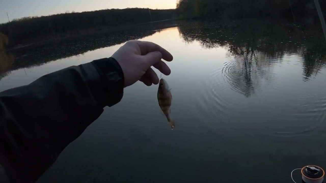 MIKRO SPLIT SHOT RIG .Forest Lake Guralnya. Mifine chost blade (0.2-0.6 g). Вінниця, озеро Гуральня