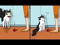 Funny comics about the reality of living with a cat  funny funnies