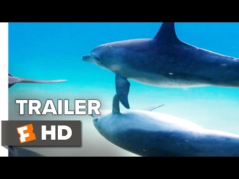 Disneynature's Dolphins Trailer #1 (2018) | Movieclips Trailers