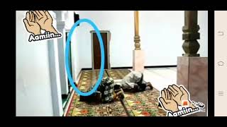 sholat. penjaga hidup