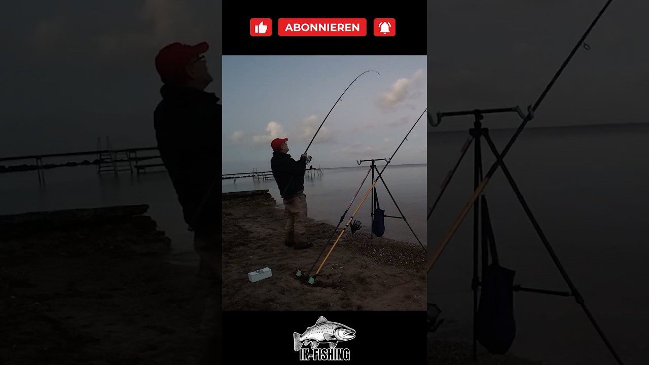 Brandungsangeln in Dänemark: Geiler Drill in 23 Sekunden! 🎣