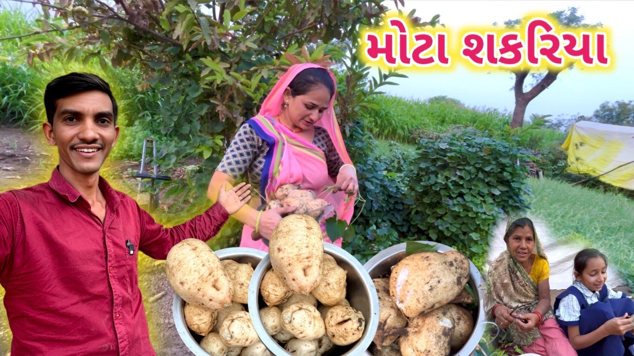 ભાભીએ મોટા મોટા શકરિયા કાઢ્યા || Life at Botad Village Vlogs 