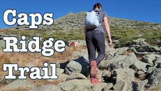 Hiking Mt. Jefferson | A wicked tough trail with my dog | White Mountains, New Hampshire