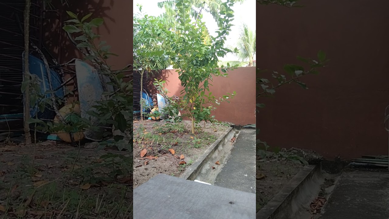 jerita kayong mundu tusun ke 62