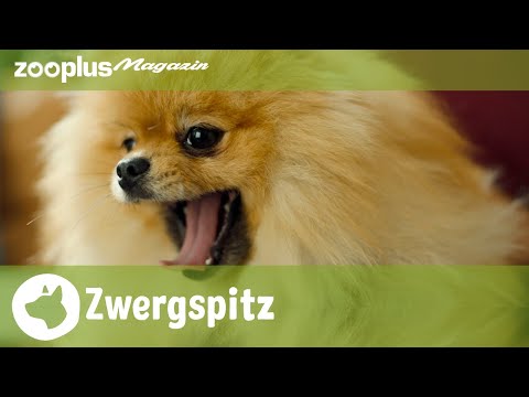 Video: Wie man Treibholz heilt