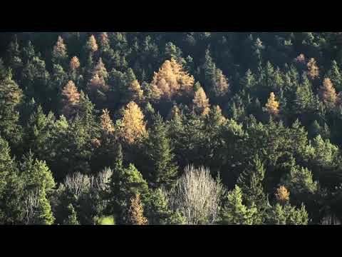 Vídeo: Mountain Bike Vs. Sujeira Nas Montanhas De Idaho - Matador Network