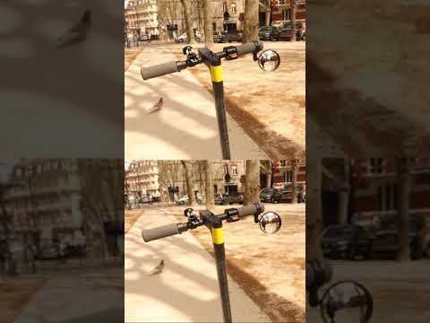 ACCESSOIRE RÉTROVISEUR RÉGLABLE 360 POUR TROTTINETTE ÉLECTRIQUE Shorts