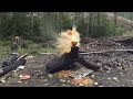 End of video