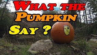 What The Pumpkin Say ?