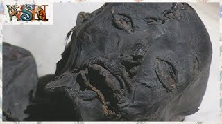 The Mystery of Denmark’s Bog Bodies - Murder or Ritual Sacrifice?