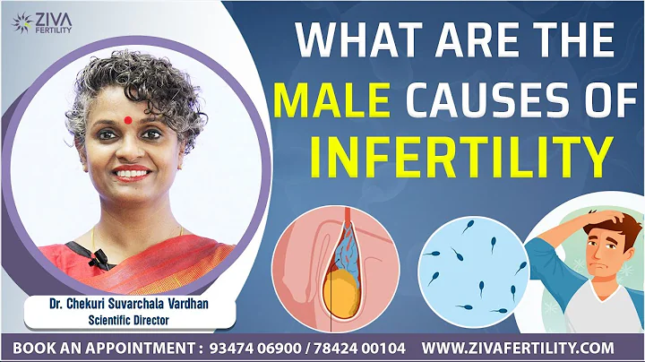 Male infertility causes ||  ZIVA Fertility English || Dr. Chekuri Suvarchala Vardhan