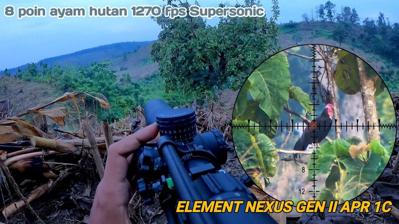  Detik-Detik paling menegangkan di musim berburu AYAM HUTAN ‼️🫵 | ELEMENT NEXUS GEN 2 | BST slugs
