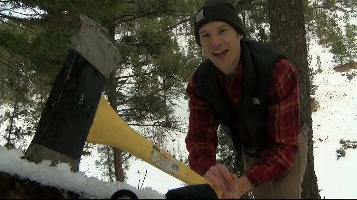 Wanna cut your own Christmas tree in Montana?