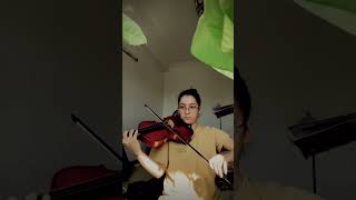 Anlamazdın viola cover #violin#keman#short#ayladikmen#anlamazdin#viola Resimi